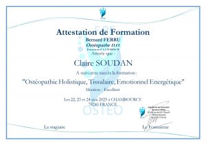 Ostéopathie tissulaire, émotionnel, énergétique